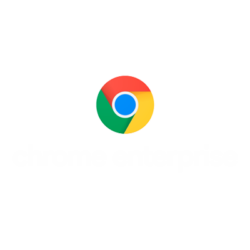 google-enterprise-w